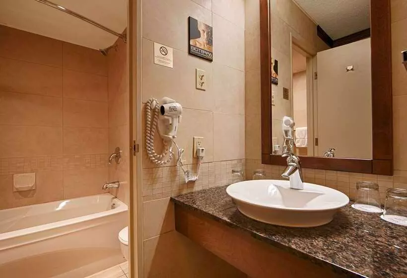 Best Western Hotel Universel Drummondville