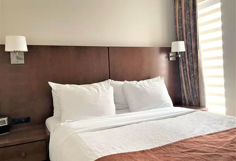 Best Western Hotel Universel Drummondville