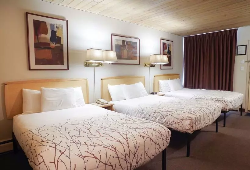 Szálloda Canadas Best Value Inn And Suites Fernie