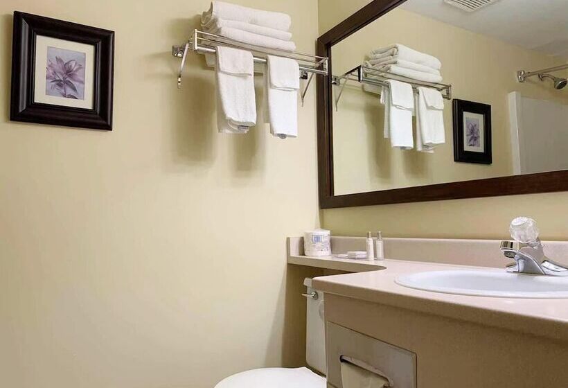 Mountainview Hotel Merritt