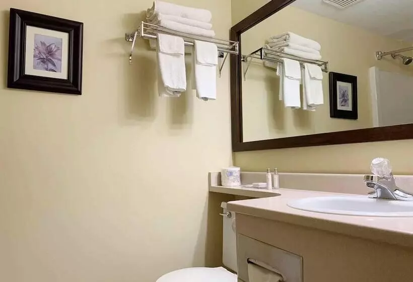 Mountainview Hotel Merritt