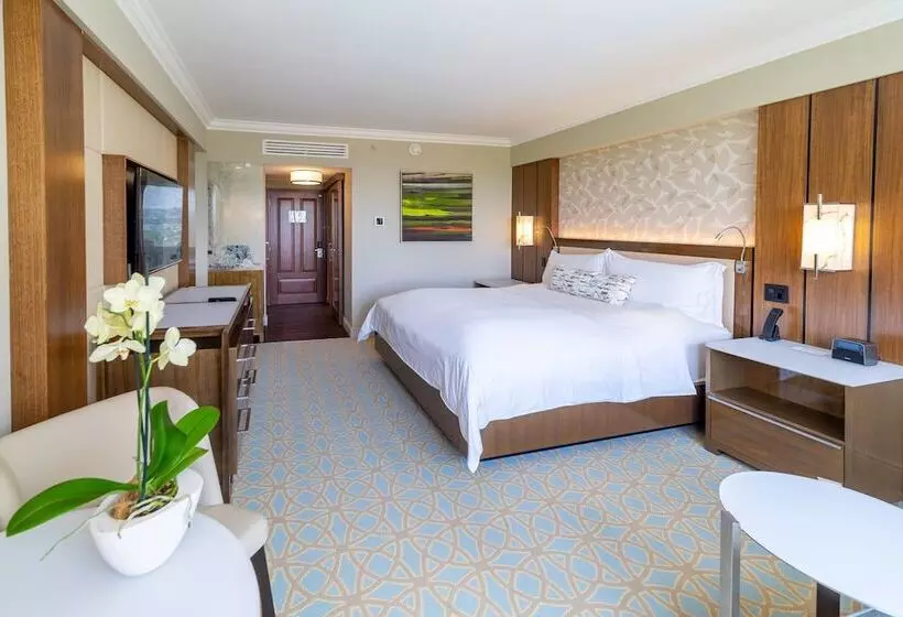 酒店 Intercontinental Costa Rica At Multiplaza Mall, An Ihg