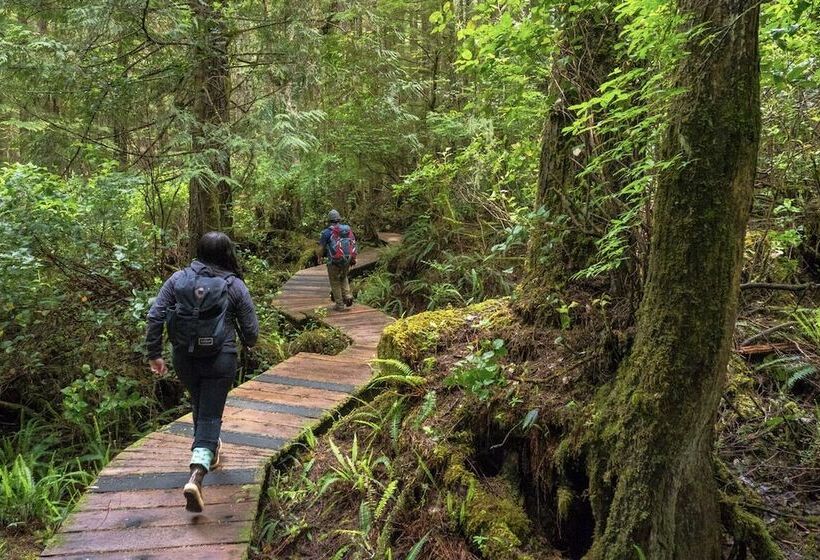 Tofino Resort + Marina