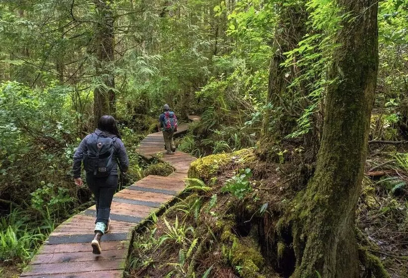 Tofino Resort + Marina