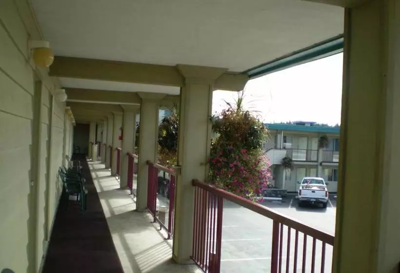 モーテル Town Centre Inn