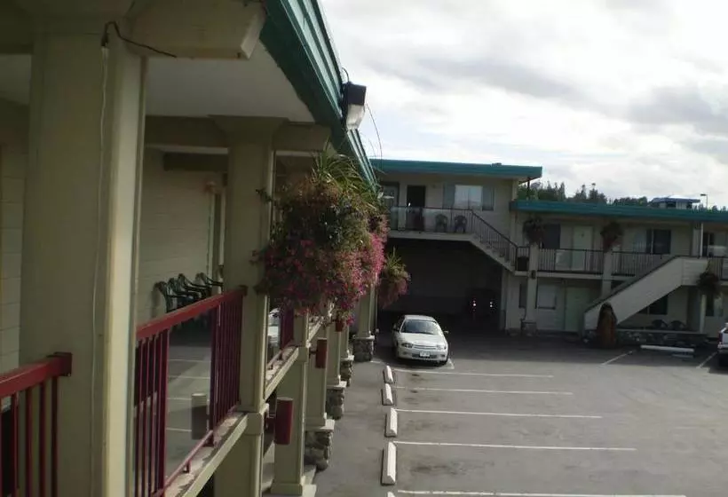 モーテル Town Centre Inn