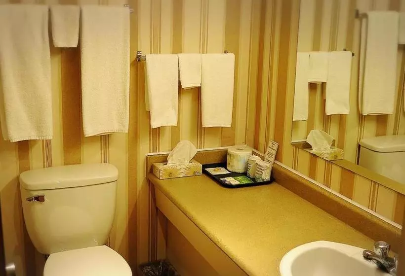 モーテル Town Centre Inn