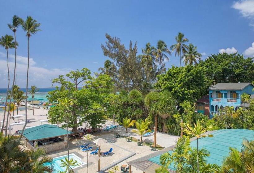 استراحتگاه whala! boca chica