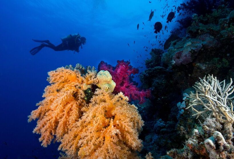 هتل Club Paradisio El Gouna Red Sea