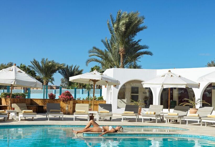 هتل Club Paradisio El Gouna Red Sea