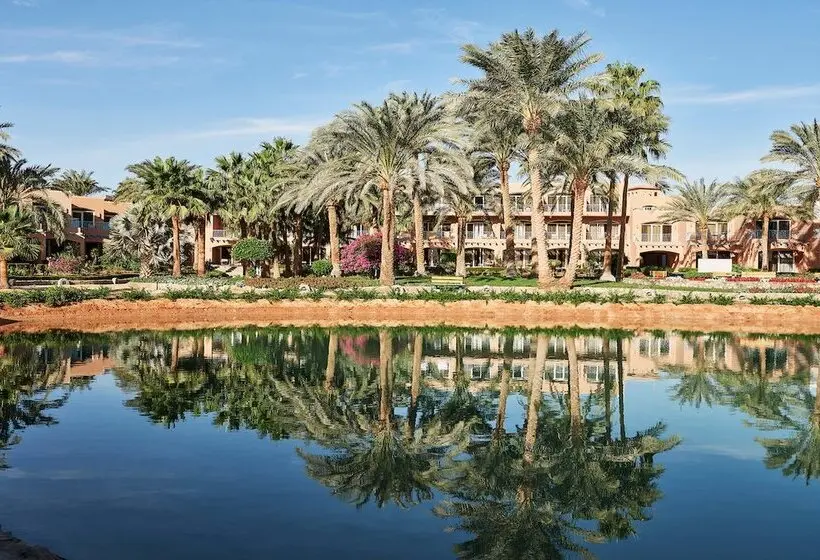 هتل Club Paradisio El Gouna Red Sea