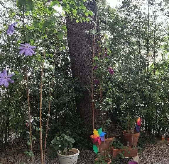 Отель Le Victoria