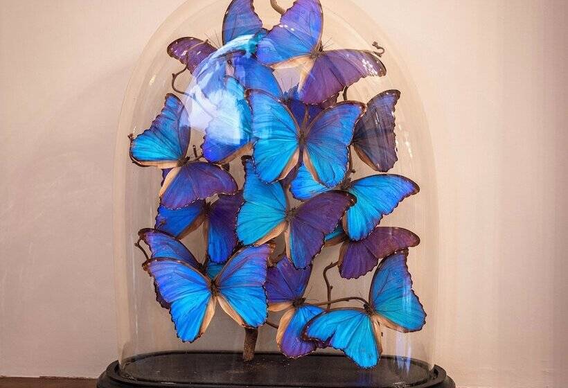 هتل Hôtel De La Poste