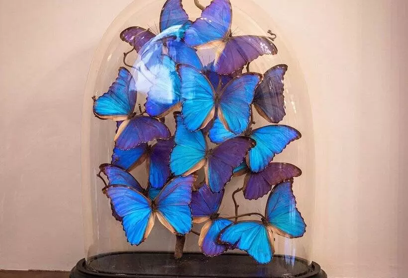 호텔 Hôtel De La Poste