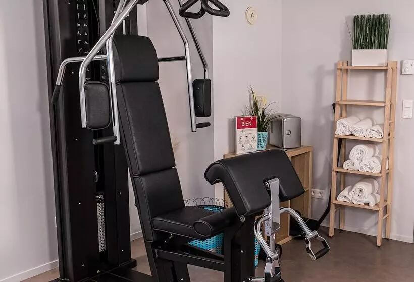 Отель Ibis Metz Nord