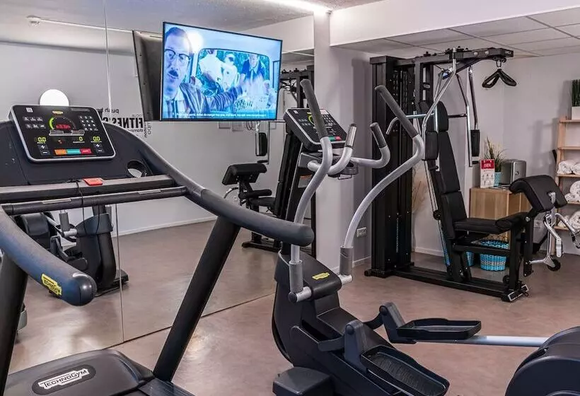 Отель Ibis Metz Nord