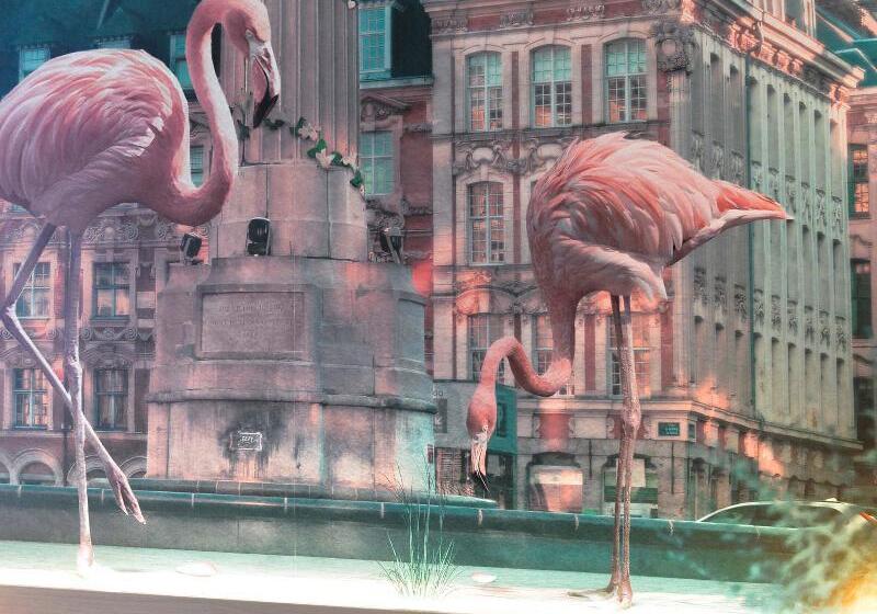 هتل Ibis Styles Lille Neuville En Ferrain