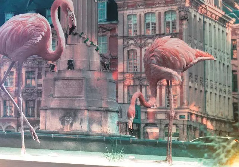 Отель Ibis Styles Lille Neuville En Ferrain