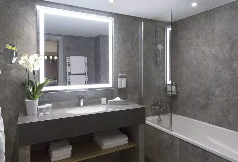 酒店 Warwick Reine Astrid  Lyon