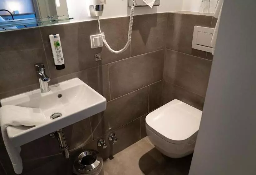 בית מלון כפרי Alexander