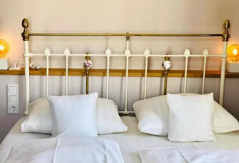 בית מלון כפרי Alexander