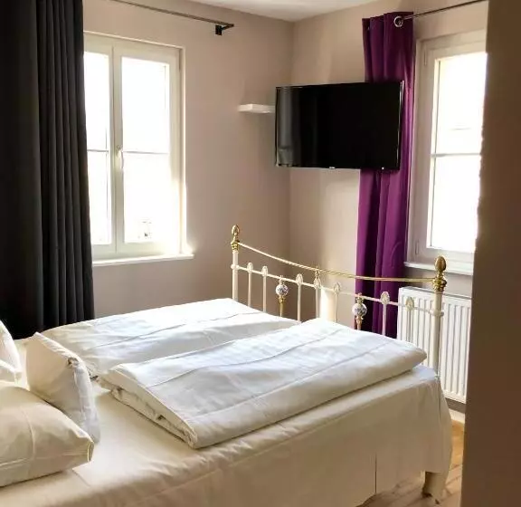 בית מלון כפרי Alexander