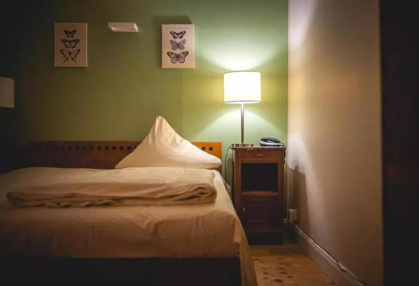 בית מלון כפרי Alexander