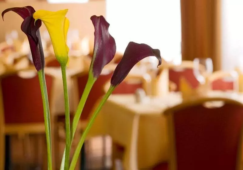 Mühlenhotel Halle Leipzig