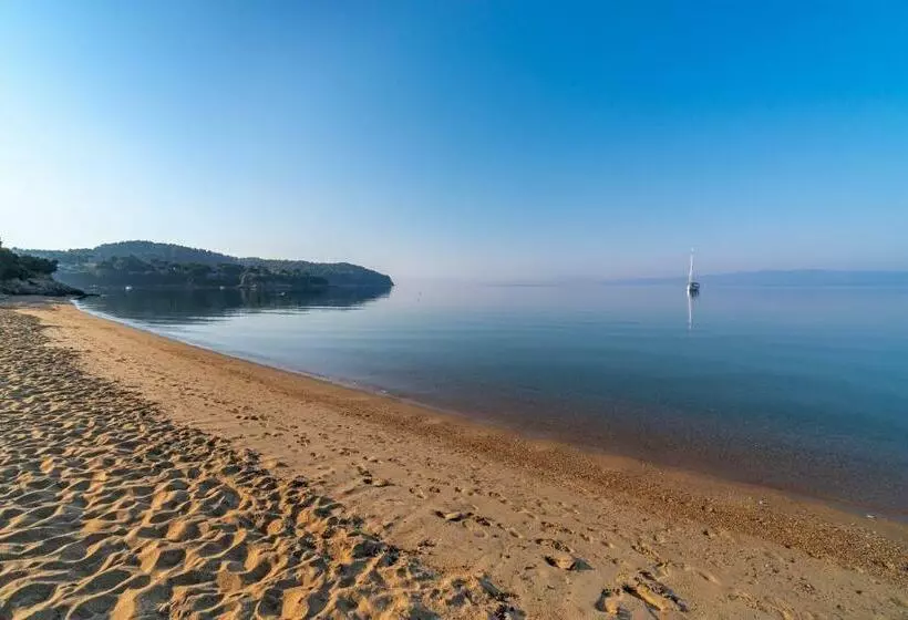 Отель Arco Beach