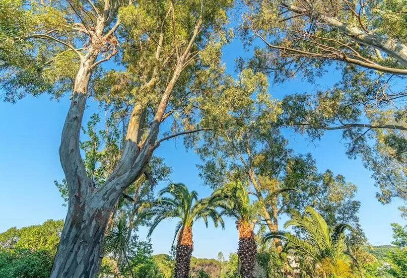 Отель Arco Beach