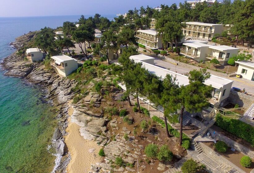 Hotel Tosca Beach