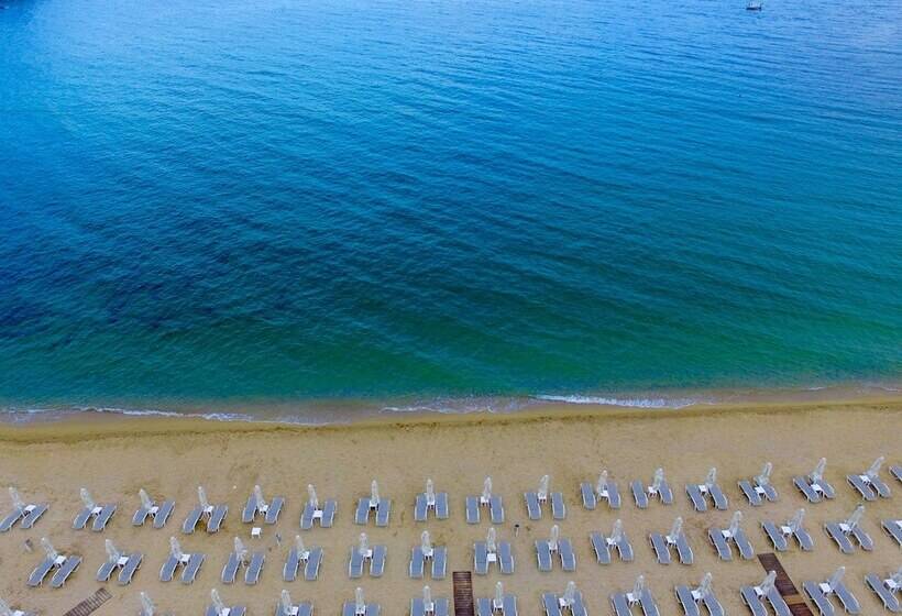 Hotel Tosca Beach
