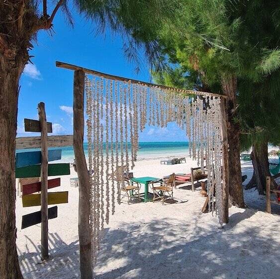 צימר Evergreen Bungalows