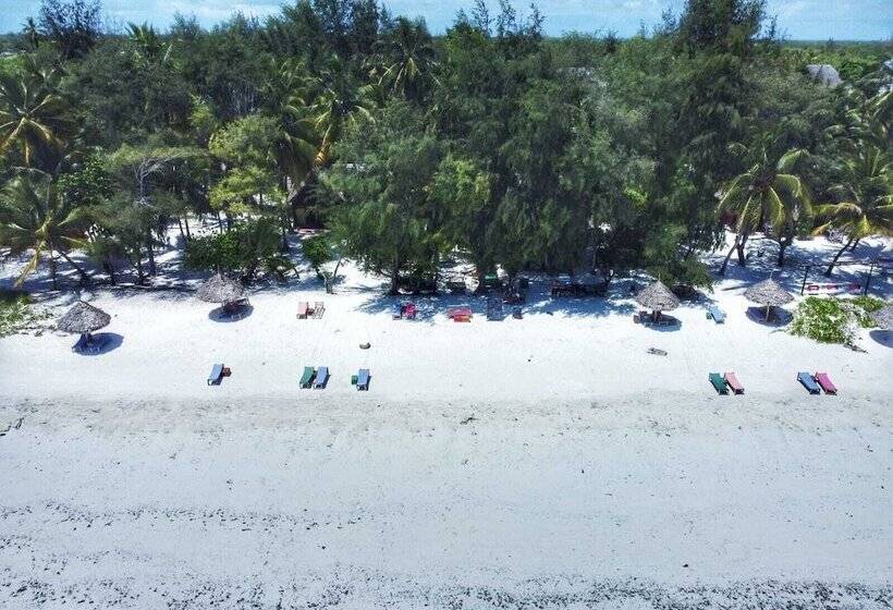 צימר Evergreen Bungalows