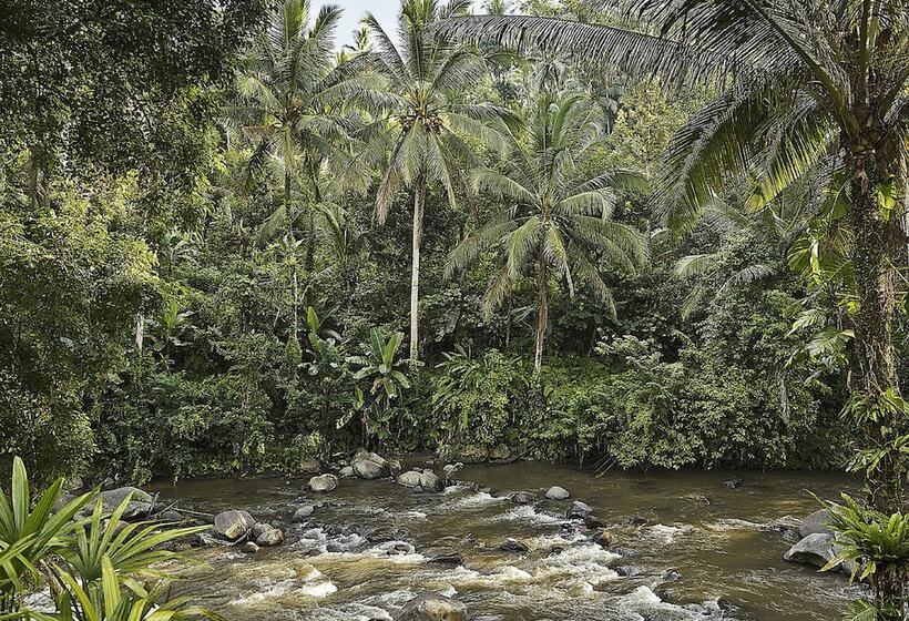 Four Seasons Resort Bali At Sayan