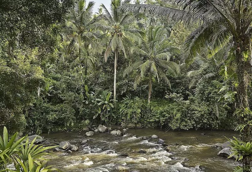 Four Seasons Resort Bali At Sayan