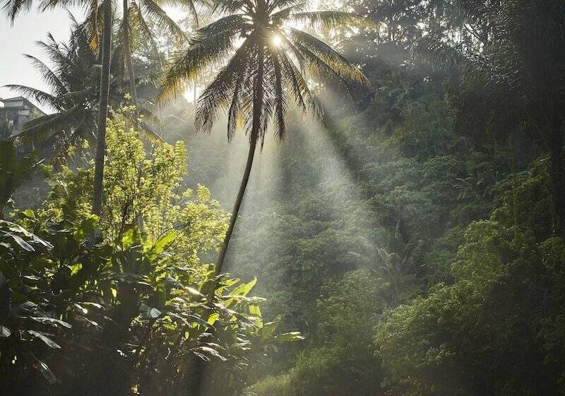 Four Seasons Resort Bali At Sayan