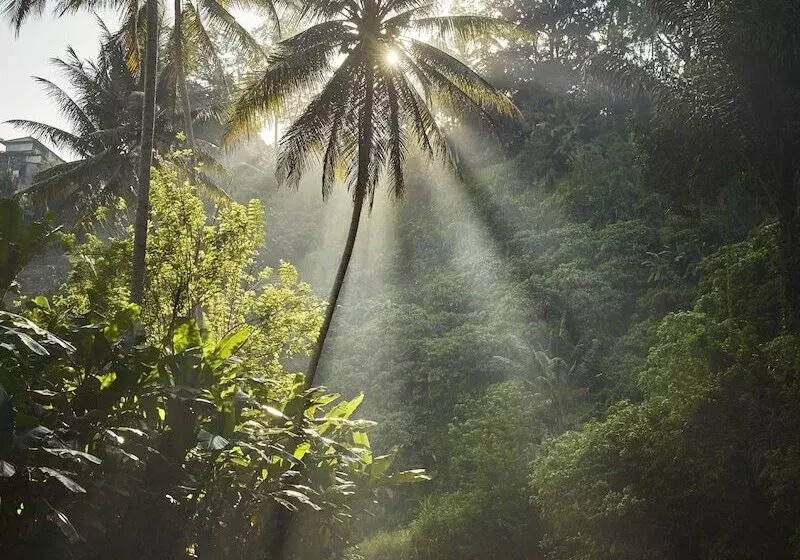 Four Seasons Resort Bali At Sayan