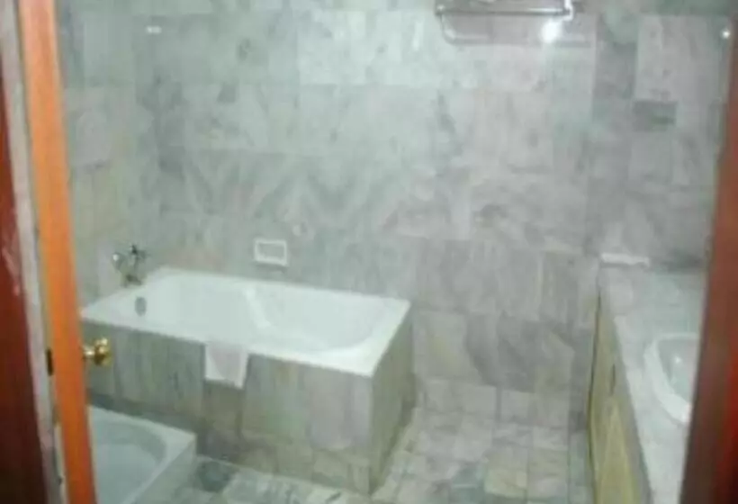 ホテル Banjarmasin International