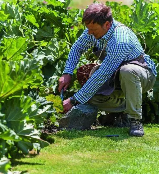 Bellevue Hotel & Spa