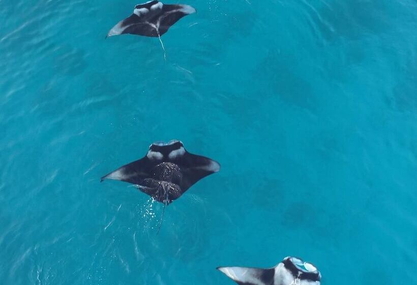 پانسیون Madivaru Kro