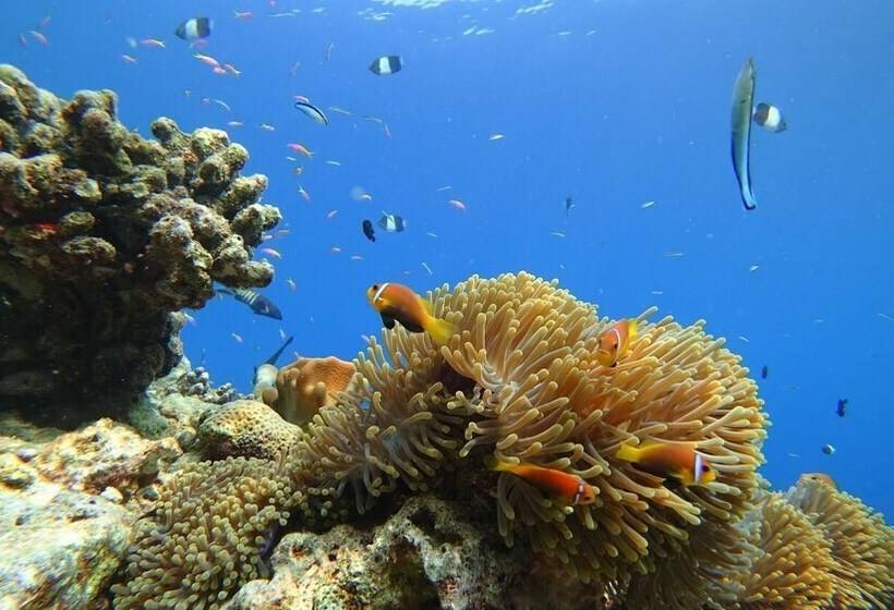 پانسیون Madivaru Kro