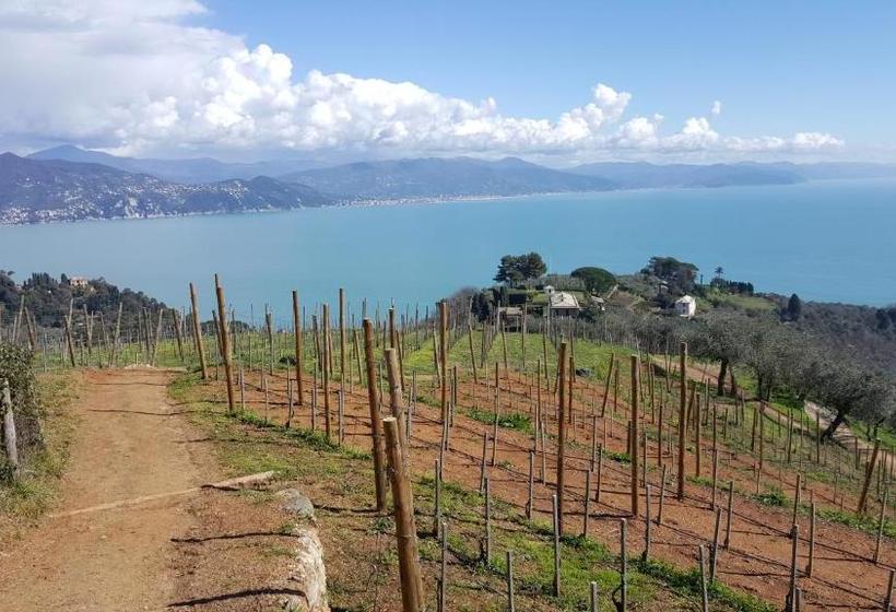 Otel Lord Nelson Camere