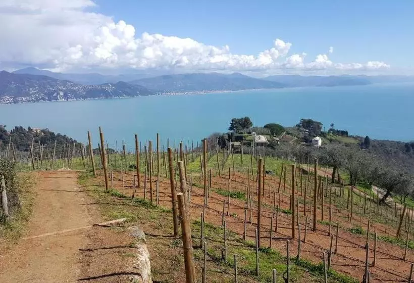 Hotel Lord Nelson Camere