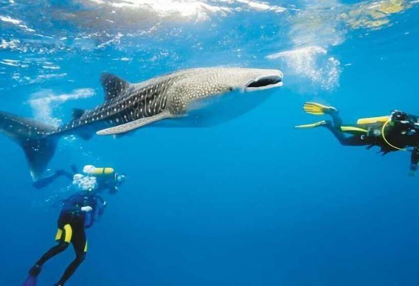 هتل South Ari Inn