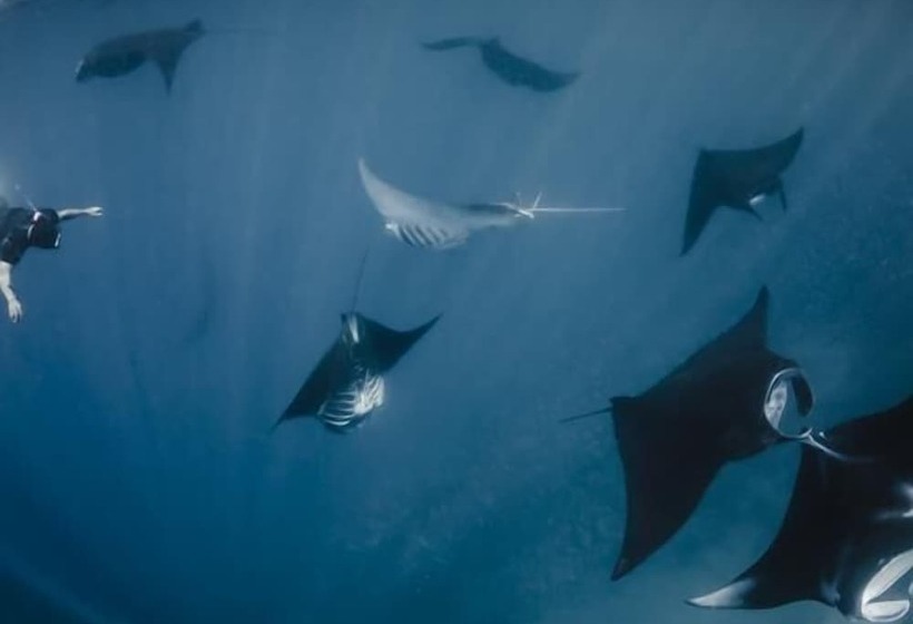 هتل South Ari Inn