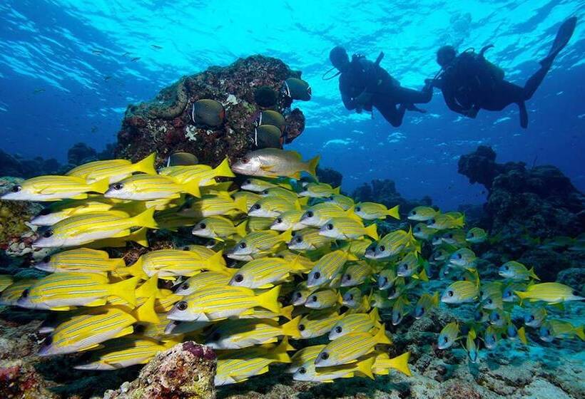 هتل South Ari Inn