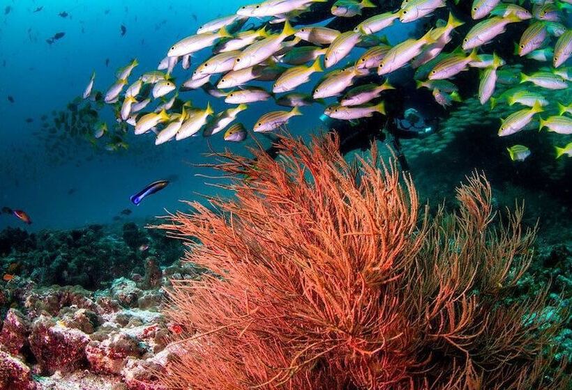 هتل South Ari Inn