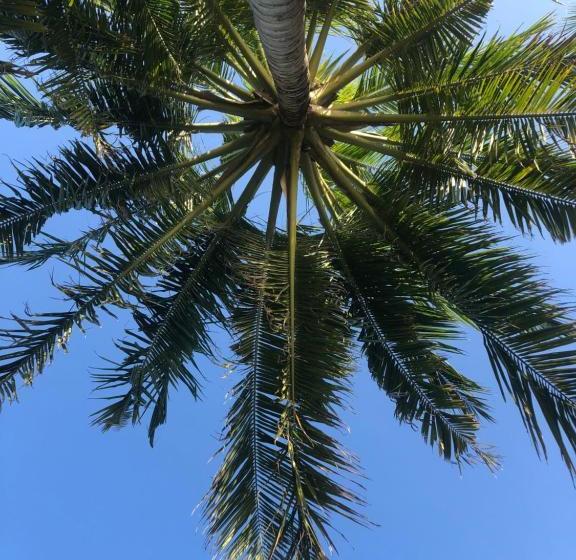 Pensió Dive Villa Thoddoo