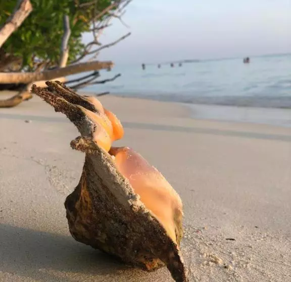 پانسیون Dive Villa Thoddoo